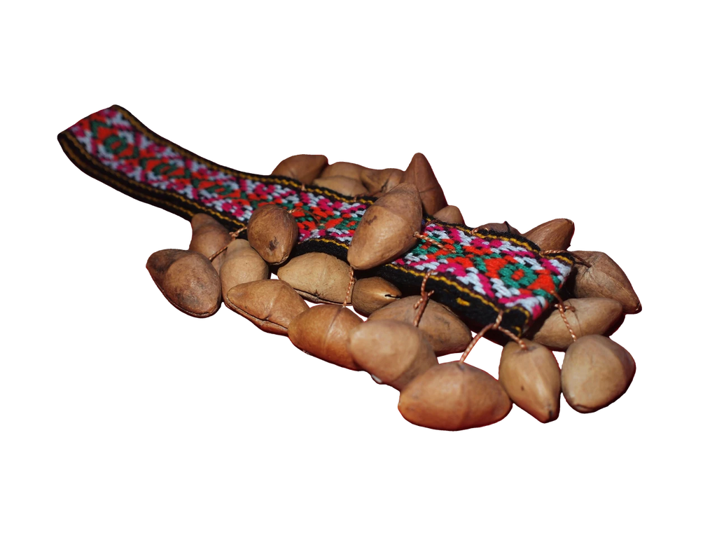 Chajchas Amazon Hand Shaker | Single