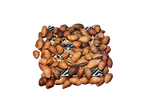 Chajchas Seed Shaker Anklet | Andean Percussion