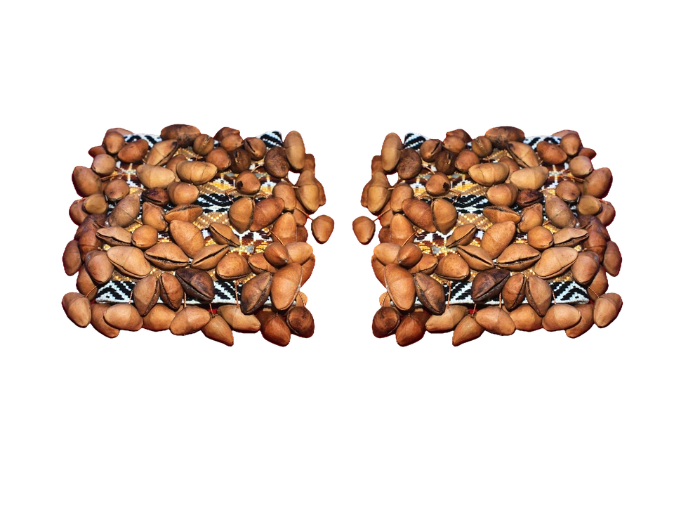 Chajchas Seed Shaker Anklets | Andean Percussion | Pair