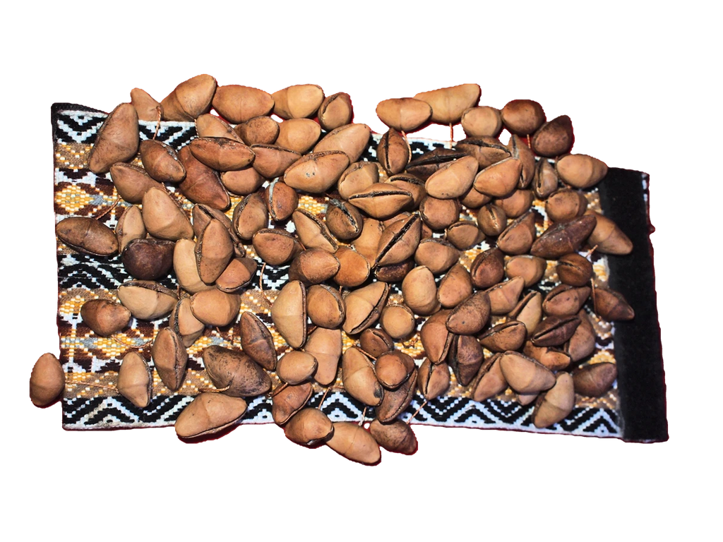 Chajchas Seed Shaker Anklet | Andean Percussion