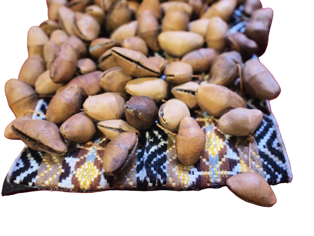 Chajchas Seed Shaker Anklet | Andean Percussion