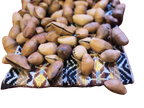 Chajchas Seed Shaker Anklet | Andean Percussion