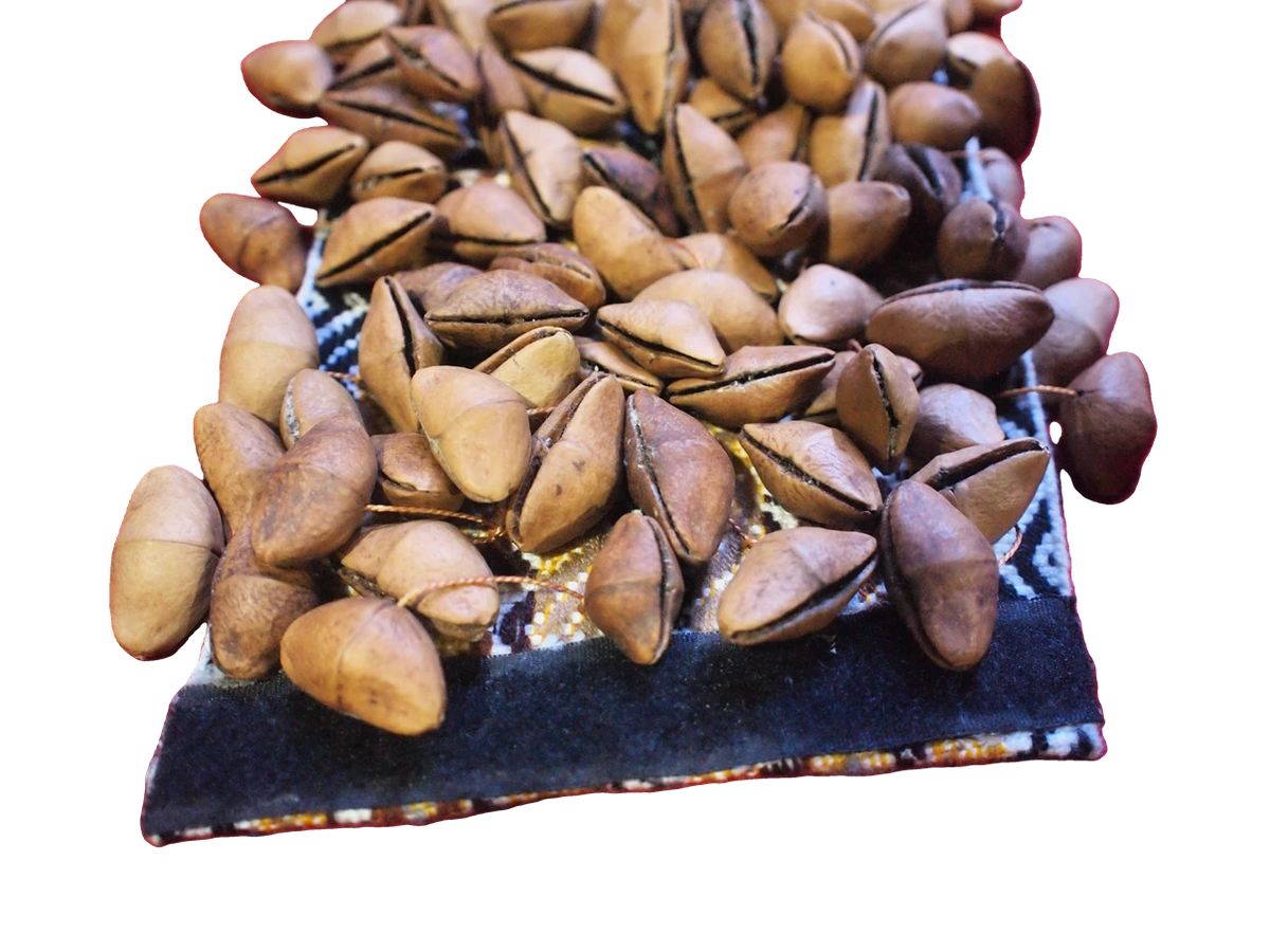 Chajchas Seed Shaker Anklet | Andean Percussion
