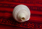 Pututu | Sea Snail Shell Horn | Andean Wind Instrument