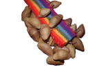 Chajchas Amazon Hand Shaker | Inka Colors | Single