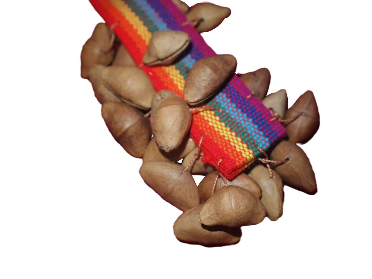 Chajchas Amazon Hand Shaker | Inka Colors | Single