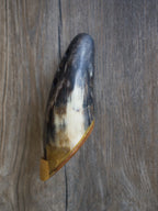 Bull horne Ocarina