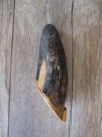Bull horne Ocarina