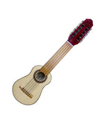 Peruvian Charango | 10-String Andean Guitar | Baltic Pine & Catahua + Cover