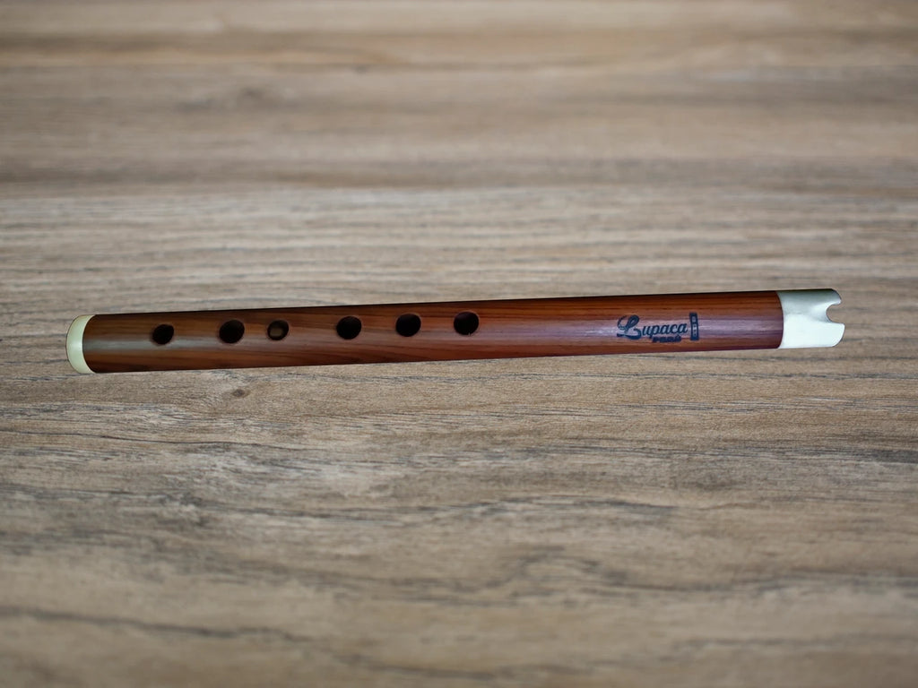Professional Lupaca  Jacaranda wood and Bone Quena in G