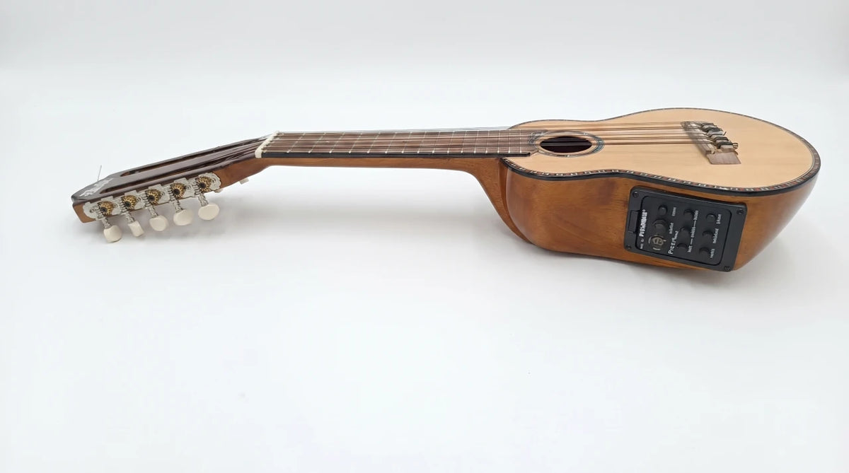 Professional Charango Alberto - Electroacoustic