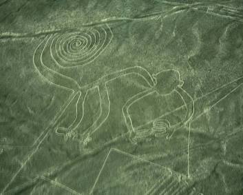 Monkey Nazca lines
